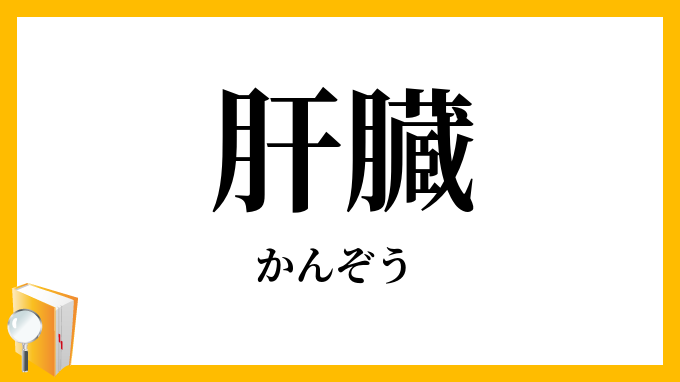 肝臓