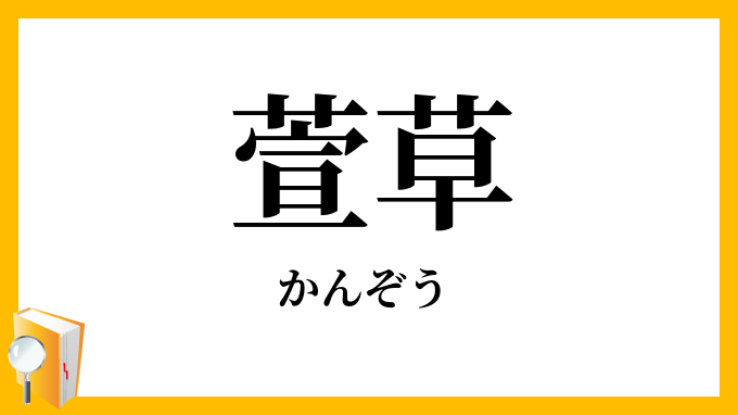 萱草