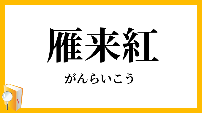 雁来紅