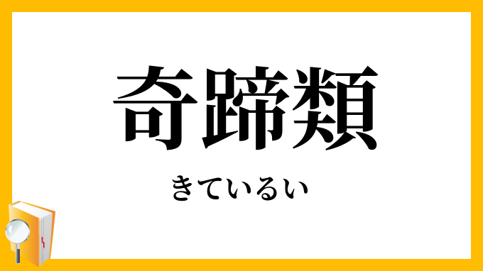 奇蹄類