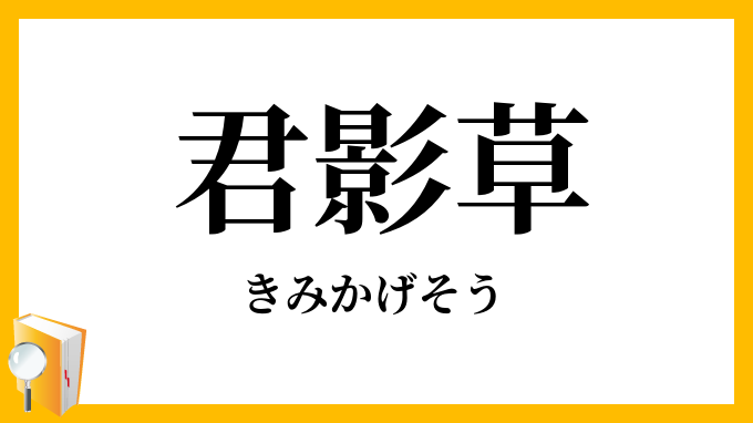 君影草