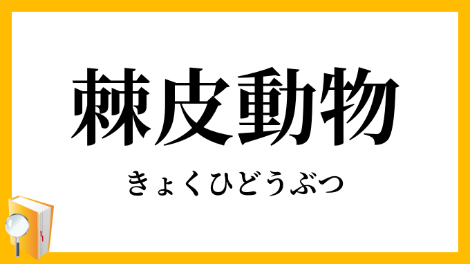棘皮動物