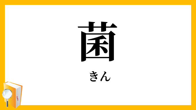 菌