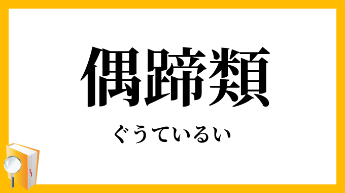 偶蹄類