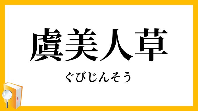 虞美人草