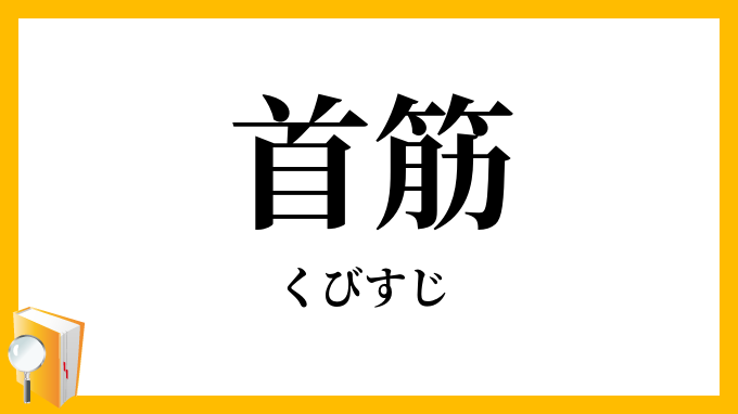 首筋・頸筋