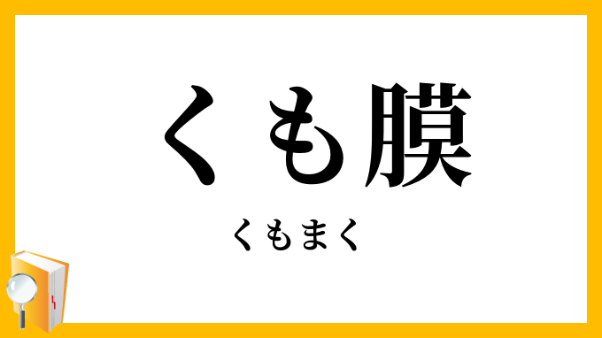 くも膜・蜘蛛膜