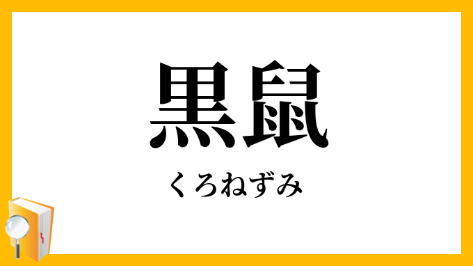 黒鼠