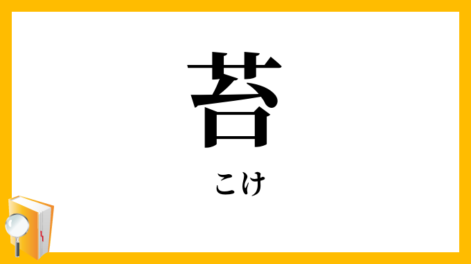苔