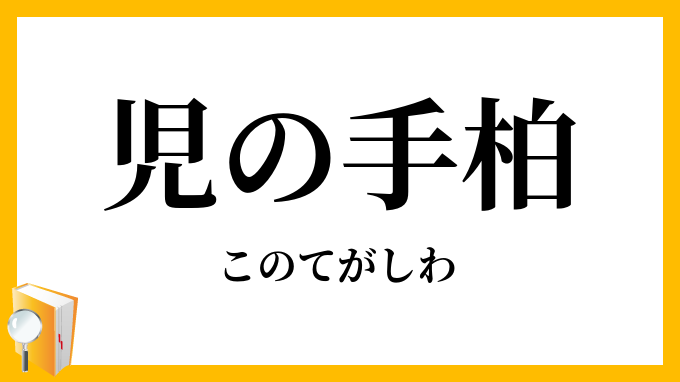 児の手柏