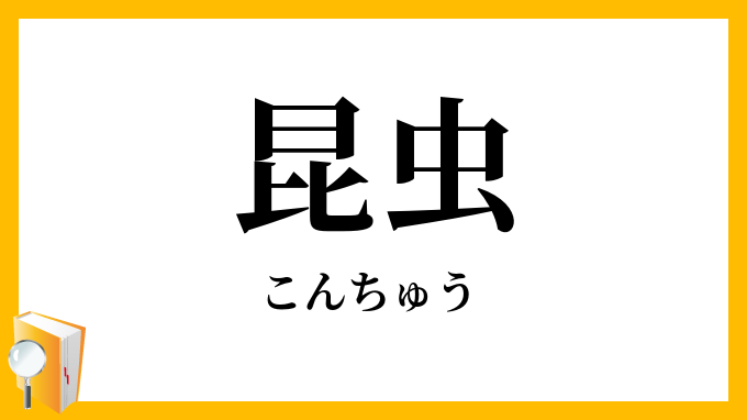 昆虫