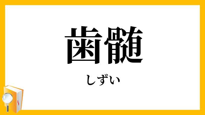 歯髄