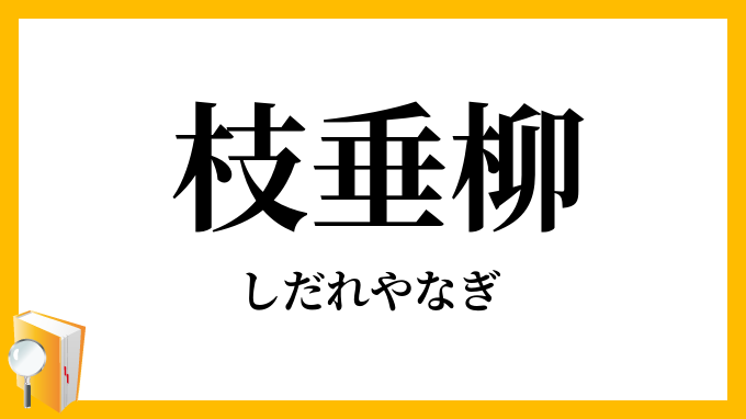 枝垂柳・垂柳