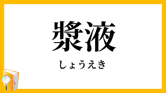 漿液