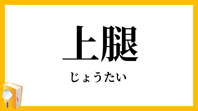 上腿