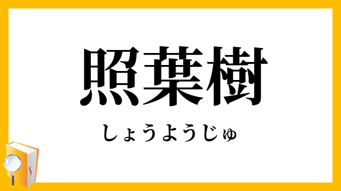 照葉樹