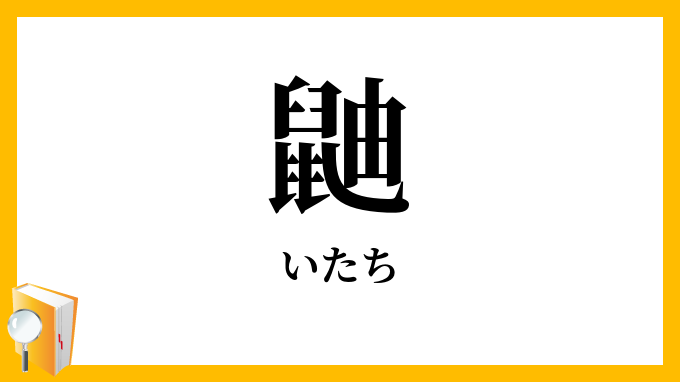 鼬