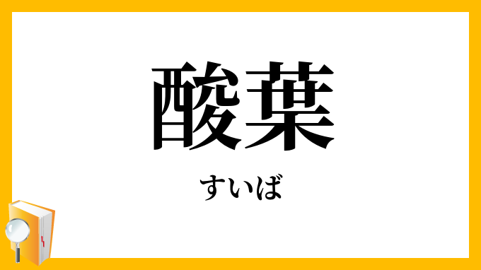 酸葉・酸模