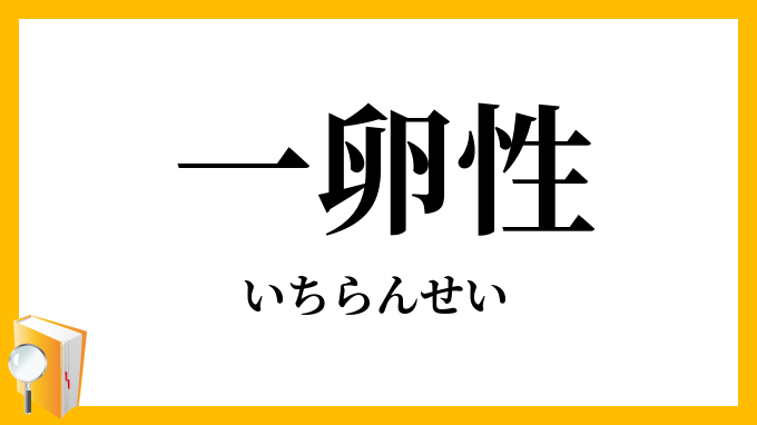一卵性
