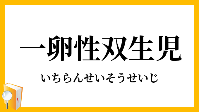 一卵性双生児