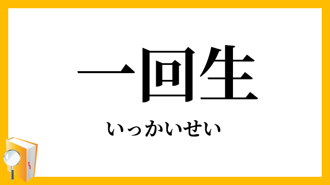 一回生
