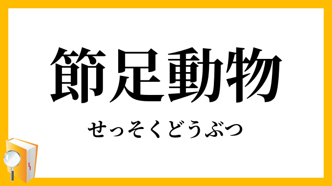節足動物