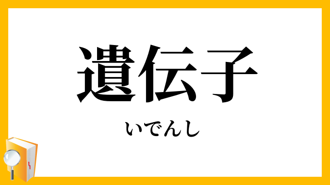 遺伝子