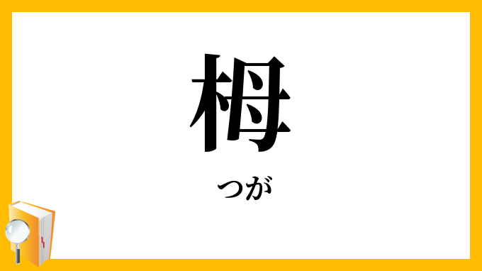 栂