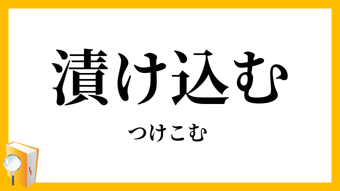 漬け込む