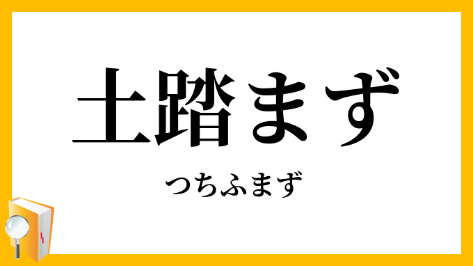 土踏まず