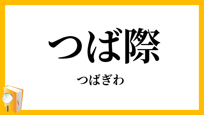 つば際・鍔際