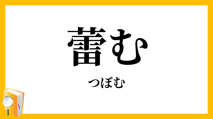 蕾む・莟む
