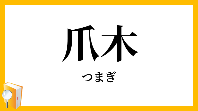 爪木