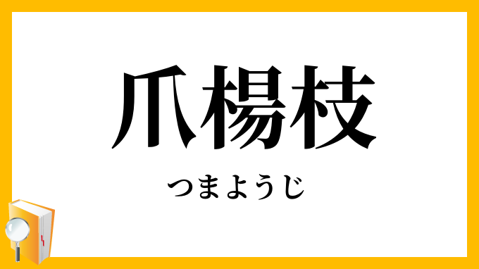 爪楊枝・爪楊子