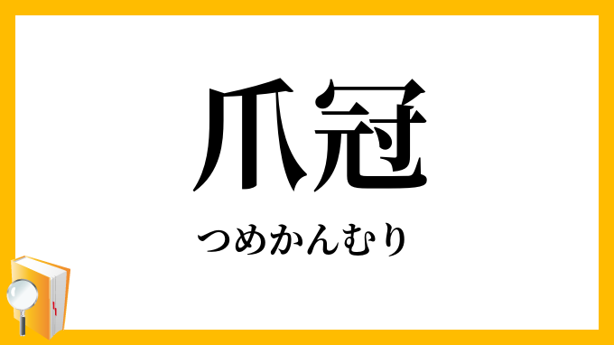 爪冠