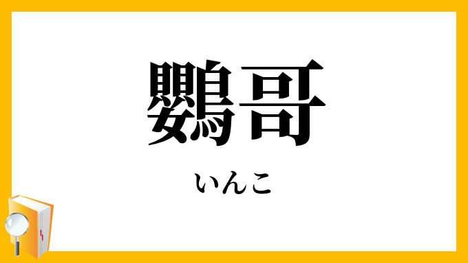 鸚哥・音呼