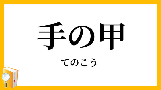 手の甲