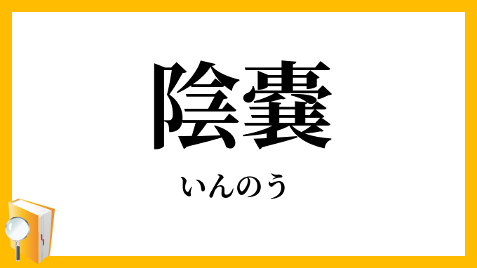陰嚢・陰囊
