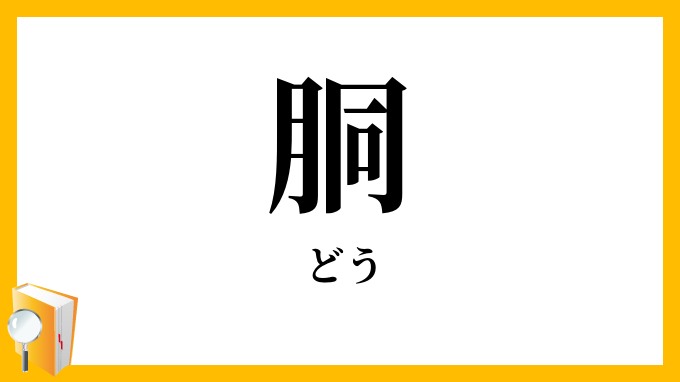 胴