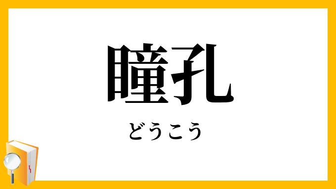 瞳孔