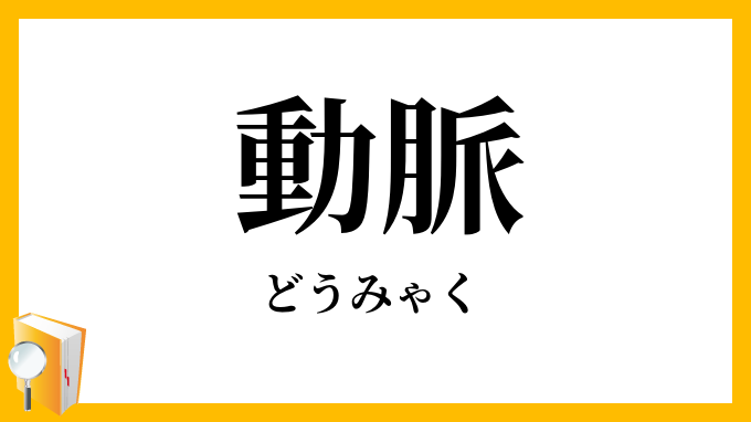 動脈