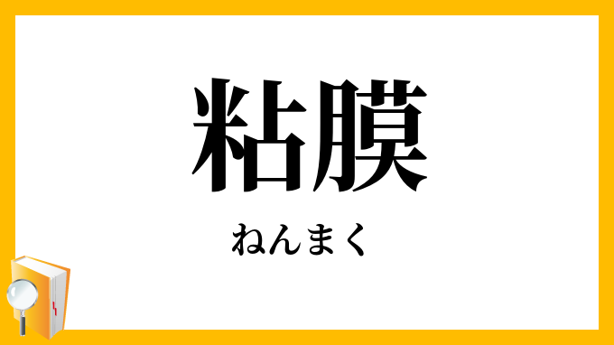 粘膜
