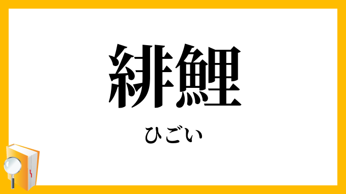 緋鯉