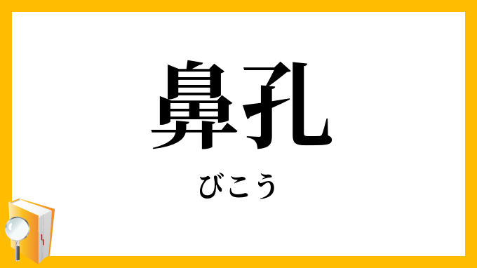 鼻孔