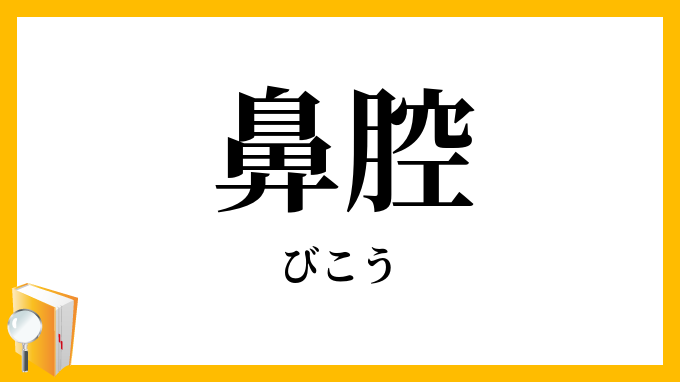 鼻腔