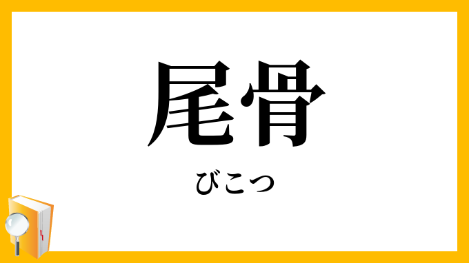 尾骨