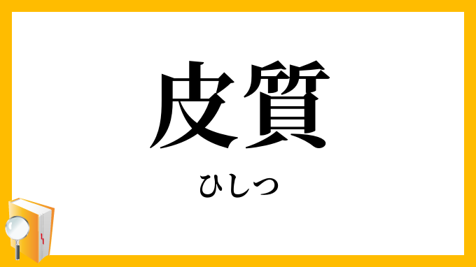 皮質