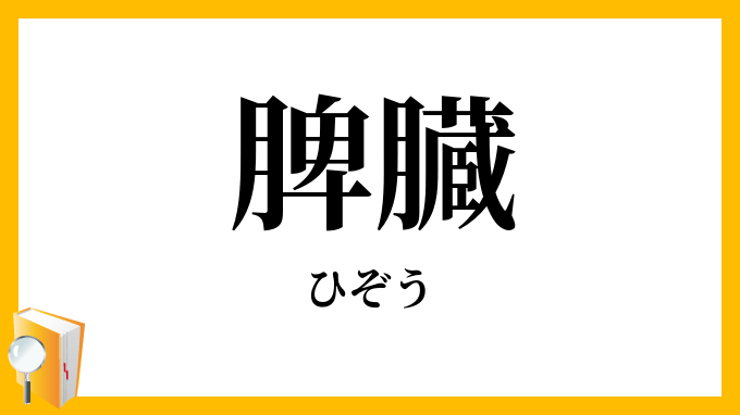 脾臓