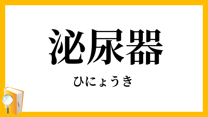 泌尿器