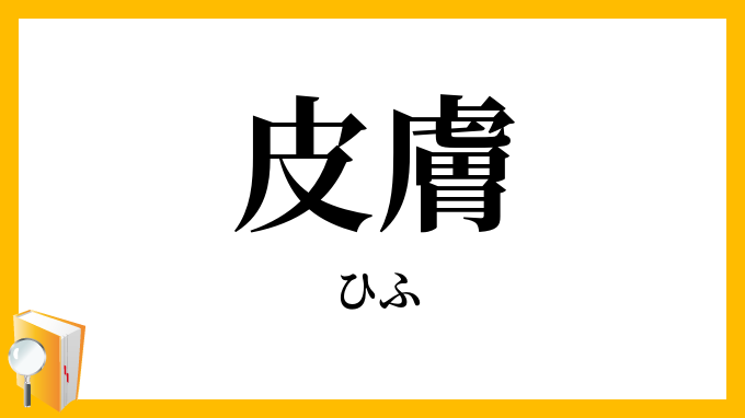 皮膚